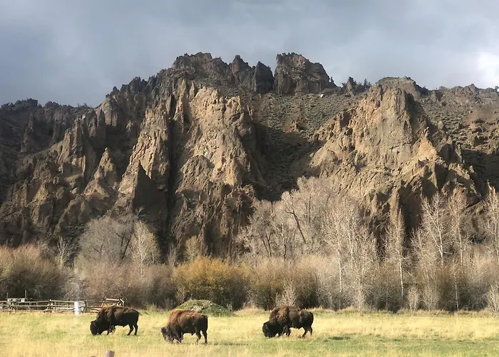 Valley Magic, East Yellowstone Casa vacanze